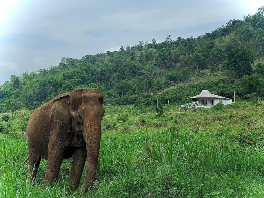Elephantpoolvilla Maetang Chiangmai Ban Muang Kut 외부 사진